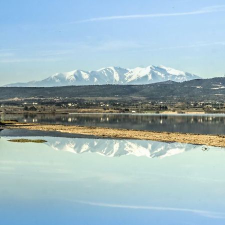 Appartement Le Flamant Rose Port-la-Nouvelle Exteriör bild