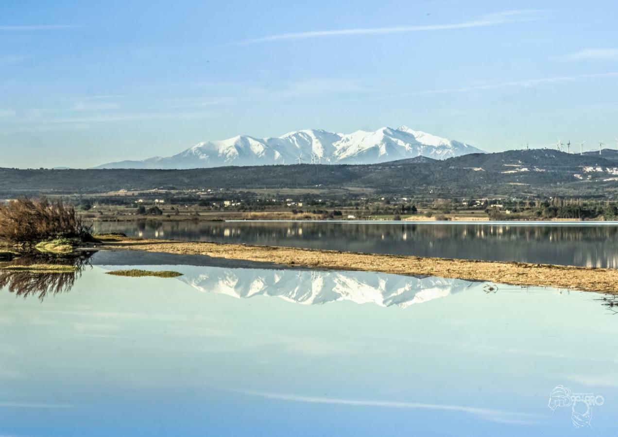 Appartement Le Flamant Rose Port-la-Nouvelle Exteriör bild